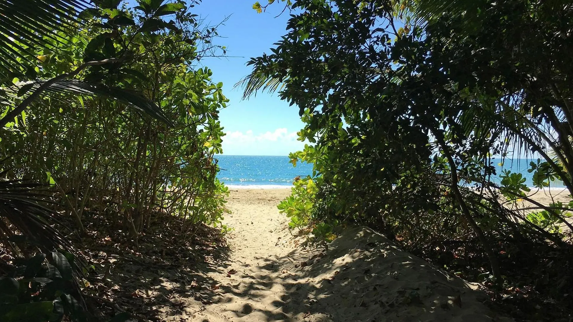 Surya Villa 1 - On Four Mile Beach Port Douglas Ausztrália